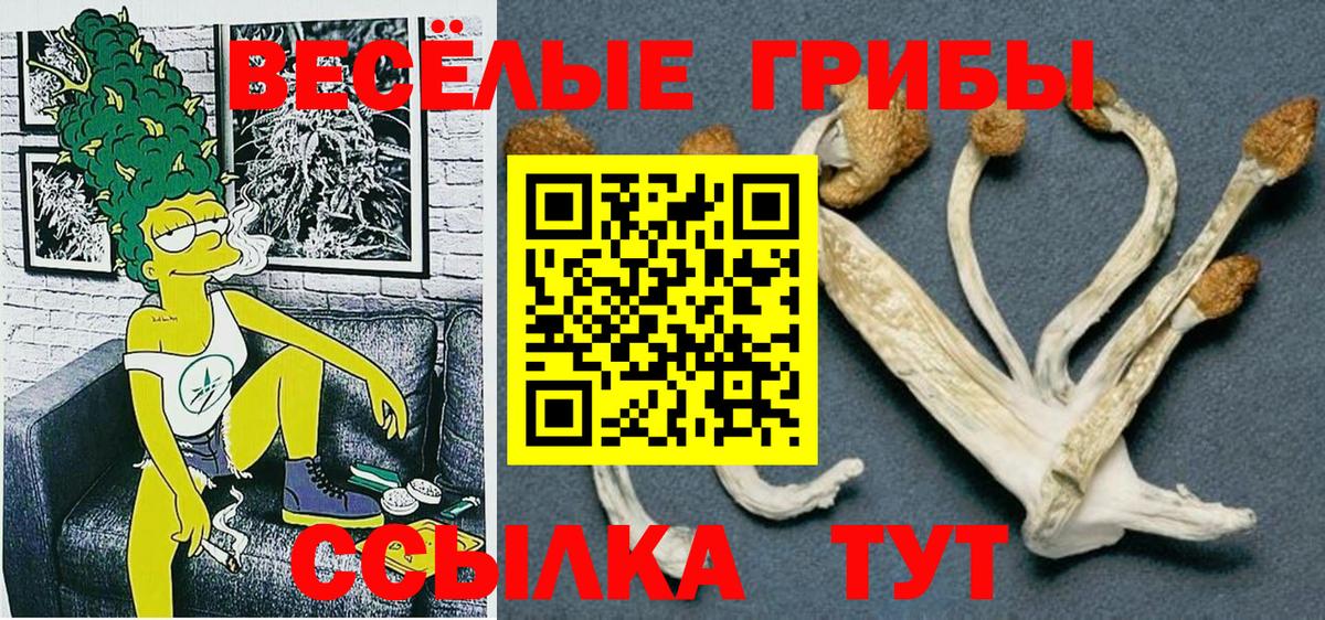 Галлюциногенные грибы MAGIC MUSHROOMS  хочу наркоту  Псилоцибиновые грибы ЛСД  Ипатово  Вход с VPN 