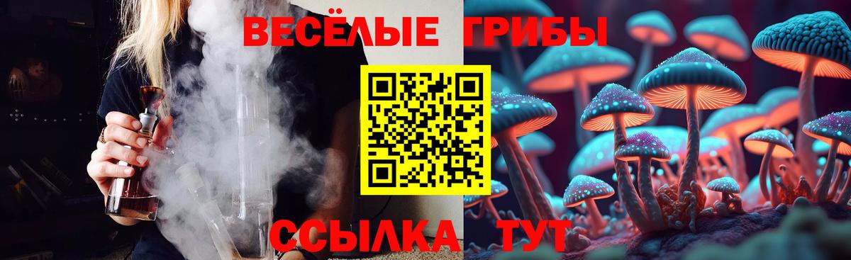 Псилоцибиновые грибы ЛСД Ипатово